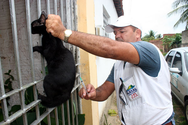 Gato teria transmitido raiva para menino que morreu neste final de semana em Natal